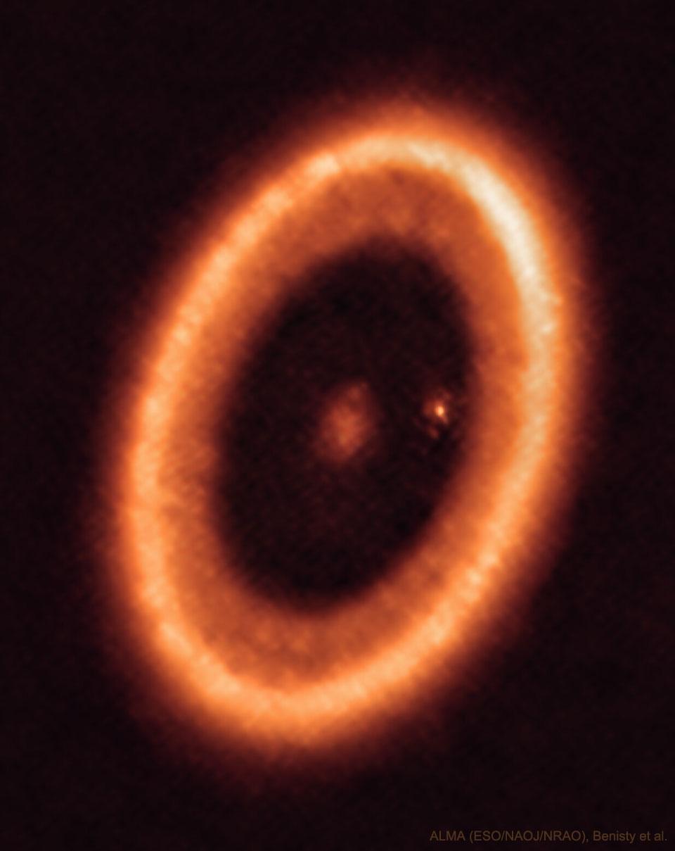 Evolution and Diversification of Protoplanetary Disks